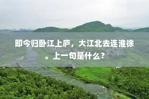 即今归卧江上庐，大江北去连淮徐。上一句是什么？