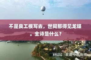 不是良工模写去，世间那得见龙媒。全诗是什么？