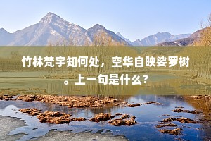 竹林梵宇知何处，空华自映娑罗树。上一句是什么？