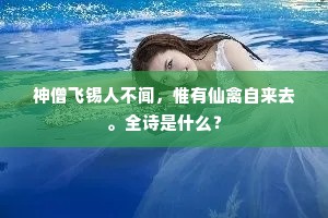神僧飞锡人不闻，惟有仙禽自来去。全诗是什么？