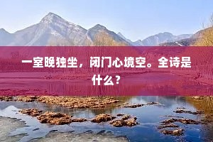 一室晚独坐，闭门心境空。全诗是什么？