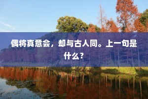 偶将真意会，却与古人同。上一句是什么？