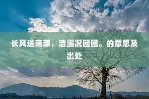 长风送荡漾，浩露况团团。的意思及出处