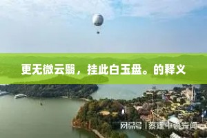 更无微云翳，挂此白玉盘。的释义