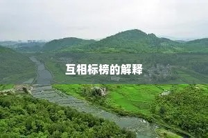 互相标榜的解释