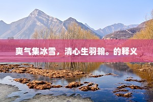 爽气集冰雪，清心生羽翰。的释义