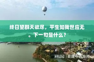 终日望群天欲尽，平生知我世应无。下一句是什么？