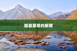 狐裘蒙茸的解释