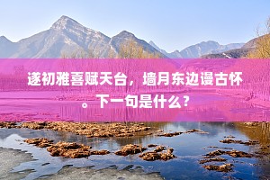 遂初雅喜赋天台，墙月东边谩古怀。下一句是什么？