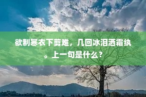 欲制寒衣下剪难，几回冰泪洒霜纨。上一句是什么？