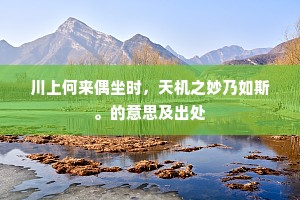 川上何来偶坐时，天机之妙乃如斯。的意思及出处