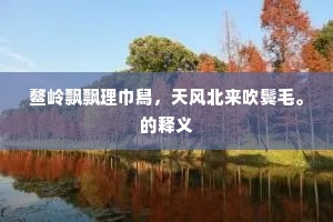 鳌岭飘飘理巾舄，天风北来吹鬓毛。的释义