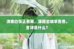 清斋白饭正着我，蒲团坐啸求吾曹。全诗是什么？