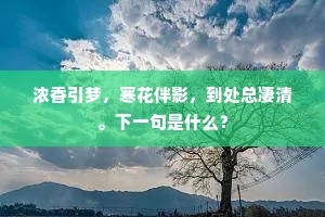 浓香引梦，寒花伴影，到处总凄清。下一句是什么？