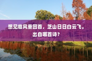 想见临风重回首，芝山日日白云飞。出自哪首诗？