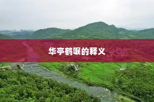 华亭鹤唳的释义
