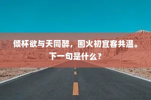 倾杯欲与天同醉，围火初宜客共温。下一句是什么？