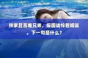扶家且喜难兄弟，报国徒怜若婿翁。下一句是什么？