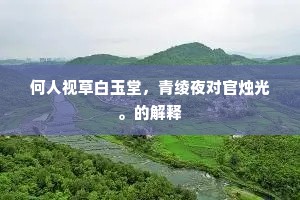何人视草白玉堂，青绫夜对官烛光。的解释