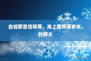 自知聚首皆明赐，海上嵩呼愿岁丰。的释义