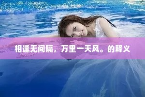 相逢无间隔，万里一天风。的释义