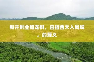 新开别业如龙树，直指西天入凤城。的释义