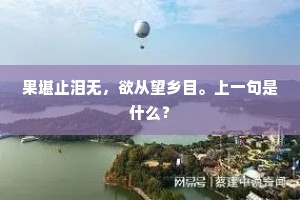 果堪止泪无，欲从望乡目。上一句是什么？