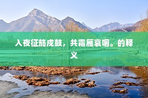 入夜征笳戍鼓，共霜雁哀咽。的释义