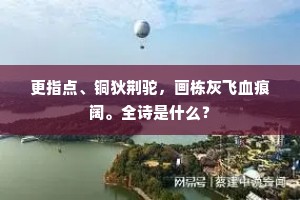 更指点、铜狄荆驼，画栋灰飞血痕阔。全诗是什么？