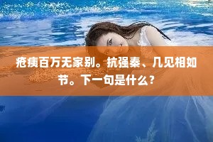 疮痍百万无家别。抗强秦、几见相如节。下一句是什么？