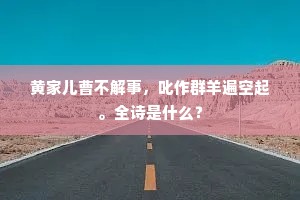 黄家儿曹不解事，叱作群羊遍空起。全诗是什么？