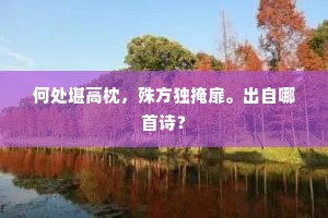 何处堪高枕，殊方独掩扉。出自哪首诗？
