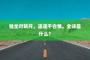 独坐对明月，遥遥千古情。全诗是什么？
