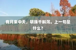 有月来中天，明珠千斛泻。上一句是什么？
