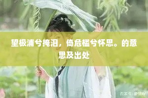 望极浦兮掩泪，倚危槛兮怀思。的意思及出处