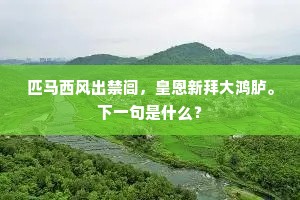 匹马西风出禁闾，皇恩新拜大鸿胪。下一句是什么？