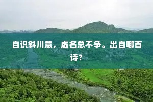 自识斜川意，虚名总不争。出自哪首诗？