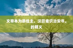 文帝本为恭俭主，汉廷谁识治安书。的释义