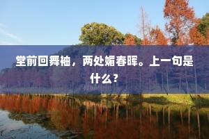 堂前回舞袖，两处媚春晖。上一句是什么？