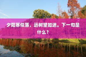 夕阳寒似落，远树望如迷。下一句是什么？