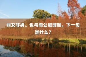 弱女非男。也与陶公慰醉颜。下一句是什么？