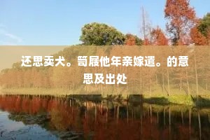 还思卖犬。笥屐他年亲嫁遣。的意思及出处