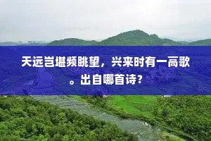 天远岂堪频眺望，兴来时有一高歌。出自哪首诗？