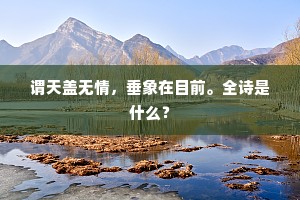 谓天盖无情，垂象在目前。全诗是什么？