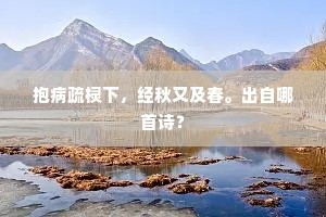 抱病疏棂下，经秋又及春。出自哪首诗？