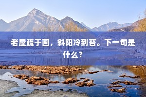 老屋疏于画，斜阳冷到苔。下一句是什么？