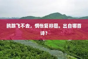 鸥踪飞不去，惆怅复徘徊。出自哪首诗？