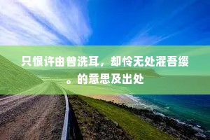 只恨许由曾洗耳，却怜无处濯吾缨。的意思及出处