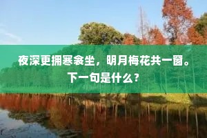夜深更拥寒衾坐，明月梅花共一窗。下一句是什么？