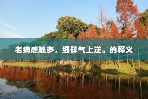 老病感触多，细碎气上逆。的释义
